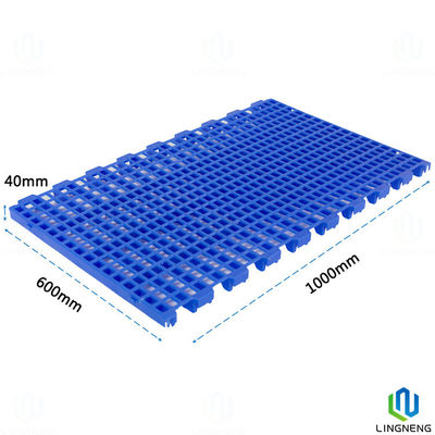 Customized Fruit Drying Tray Vegetable Plastic Drying Tray Perforated Plastic Trays